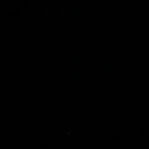 Meet your Posher, Brooklynn